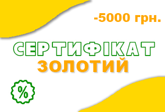 Скидочный сертификат лагеря Время Индиго