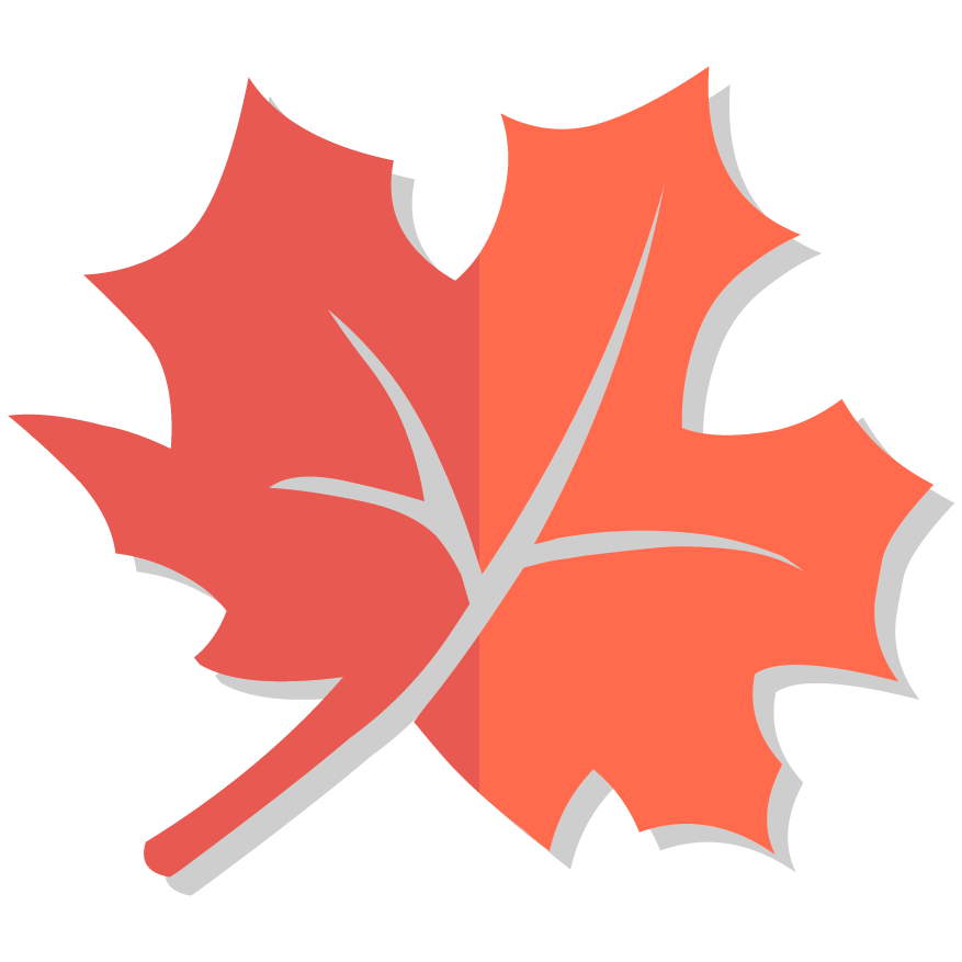 Лагерь в Карпатах на осенних каникулах