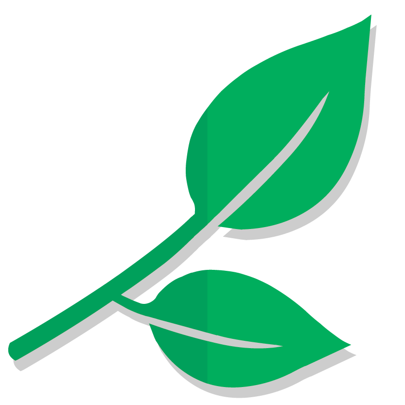 Лагерь в Карпатах на весенних каникулах